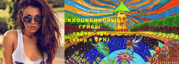 мескалин Коряжма