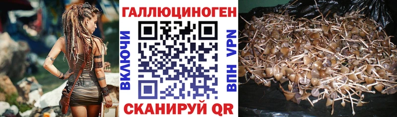Купить где  Благодарный  Галлюциногенные грибы прущие грибы 