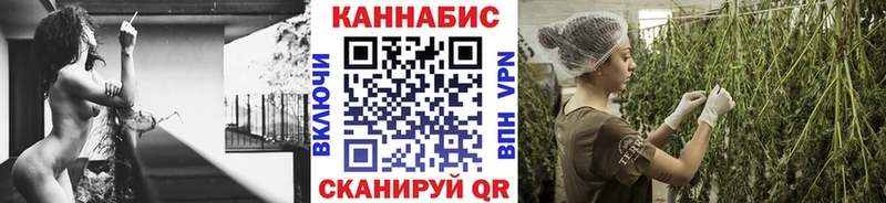 Каннабис сатива  Купить где  Благодарный 